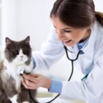 World Veterinary Day 2021: Here are some important tips for pet care