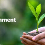 World Environment Day 2021: Know Theme, History and Importance of the day