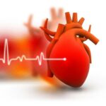 How soil pollution increases the risk of heart disease is shown here