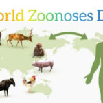 World Zoonoses Day 2022: Here’s All You Need to Know About Infectious Disease