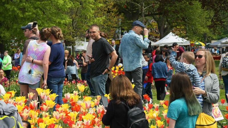 Albany Tulip Festival 2024 releases schedule details and band lineup