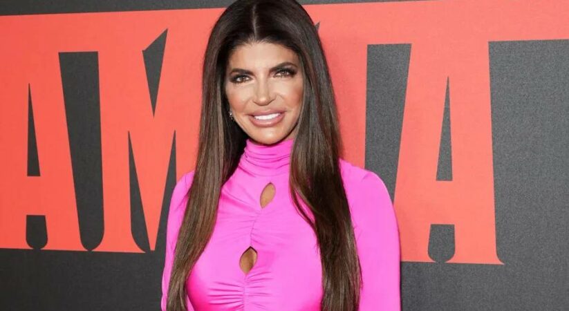 What is the Teresa Giudice Net Worth in 2024 and Her Income Sources?