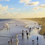 Top 5 Beaches in South Carolina for a Peaceful Weekend