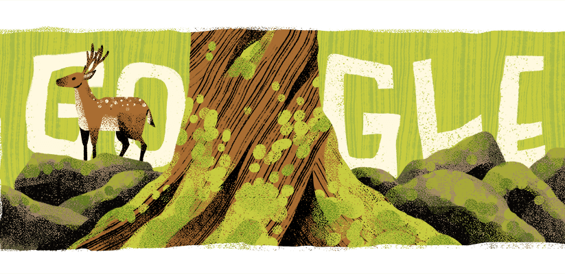 Google doodle honors the Shiratani Unsuikyo, an ancient cedar forest on Yakushima Island