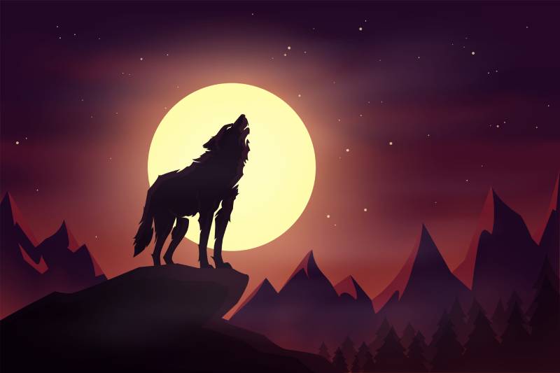 Wolf Moon 2025 Everything You Need to Know About the Year’s 1st Full